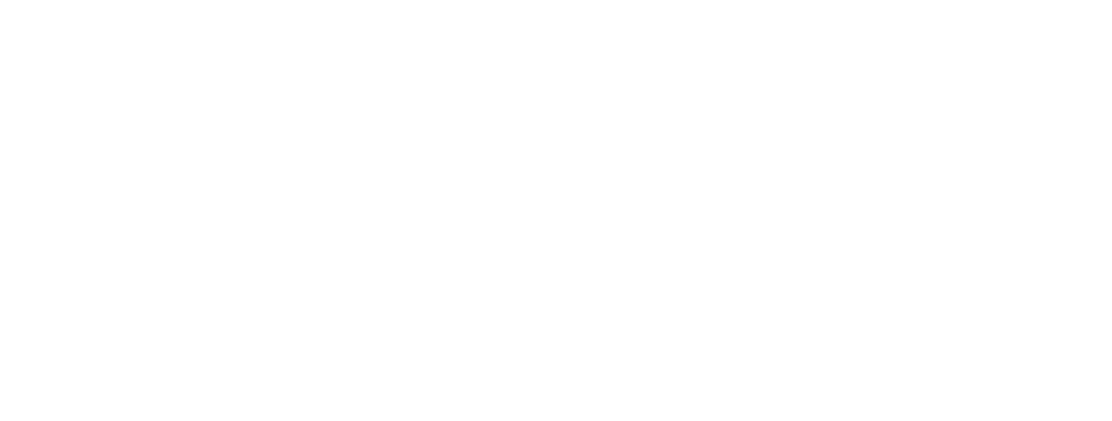 Fuel X